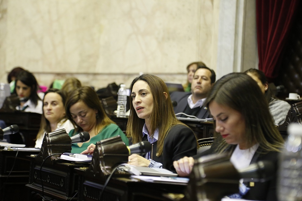 Sesión sobre despenalización del aborto